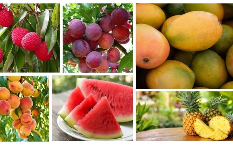 गर्मीमा आँपदेखि आरु : कुन फलफूल कति खाने