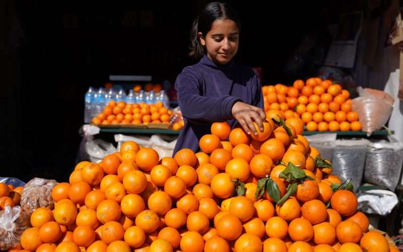जुनार प्रवद्र्धन मेलाको लागि गोलन्जोरमा मंगलबार सार्वजनिक बिदा